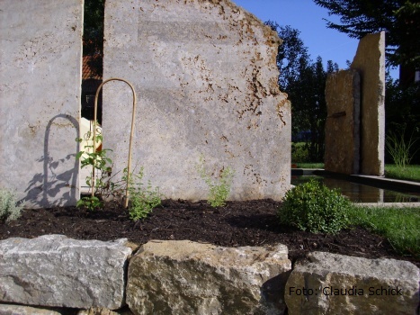 rot_juli2010 (7).JPG